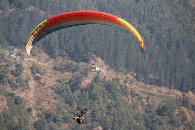 paragliding over pine forest kullu