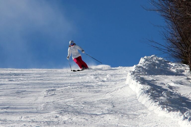 Manali Snow Day package Kullu Manali